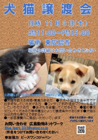 犬猫譲渡会