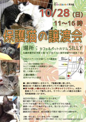 保護猫の譲渡会