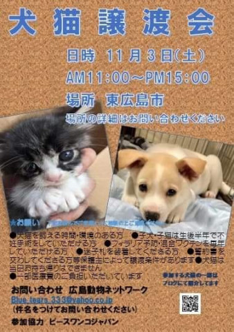 犬猫譲渡会