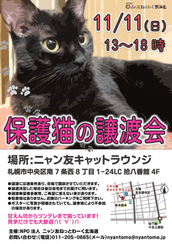 保護猫の譲渡会