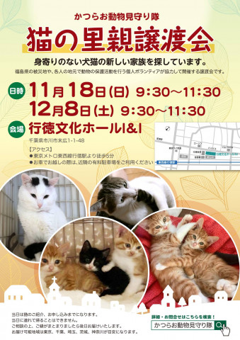 猫の里親譲渡会