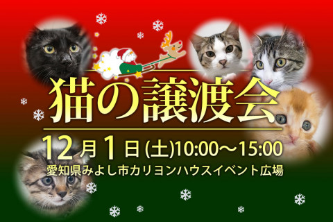 12月1日（土）「猫の譲渡会」愛知県みよし市