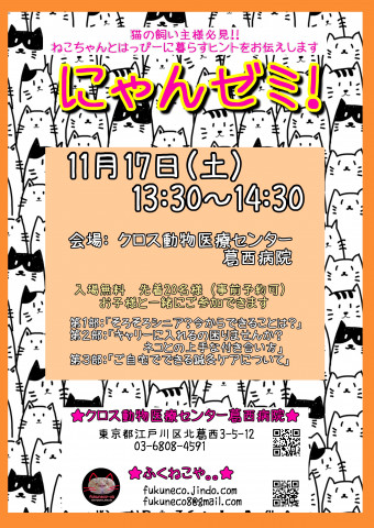 ふくねこや。。neko部 第39回 保護ねこ里親会