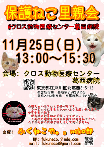 ふくねこや。。neko部 第39回 保護ねこ里親会