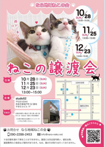 猫の譲渡会