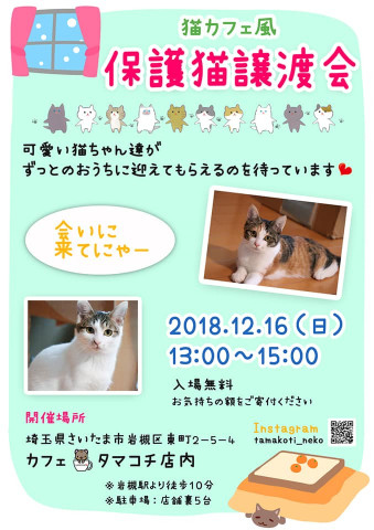 猫カフェ風　保護猫譲渡会　in　さいたま市岩槻区