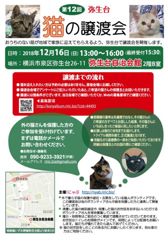 横浜市泉区でねこの譲渡会第12回 12月16日（日）