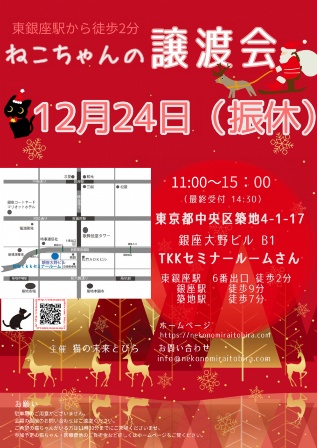東銀座 猫の未来とびら譲渡会 猫の譲渡会掲示板 ネコジルシ
