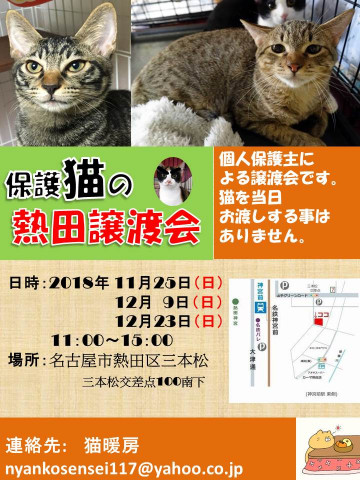 保護猫の熱田譲渡会