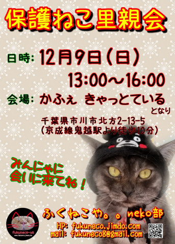 ふくねこや。。neko部 第40回 保護ねこ里親会