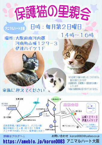 保護猫の里親会