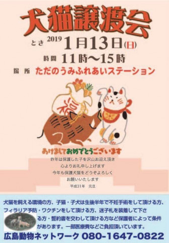 2019 犬猫譲渡会