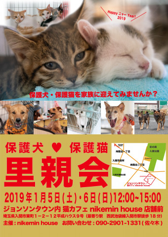 入間市ジョンソンタウン犬猫里親会 猫の譲渡会掲示板 ネコジルシ