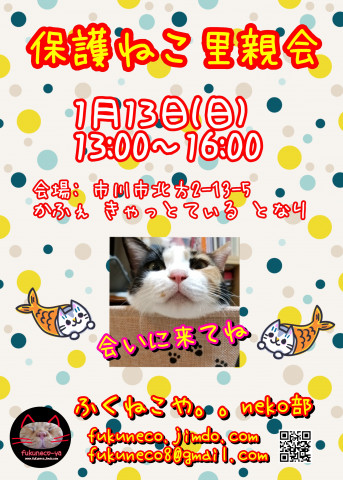 ふくねこや。。neko部 第42回 保護ねこ里親会