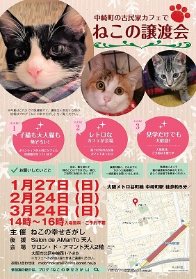 古民家カフェで ねこの幸せさがし譲渡会