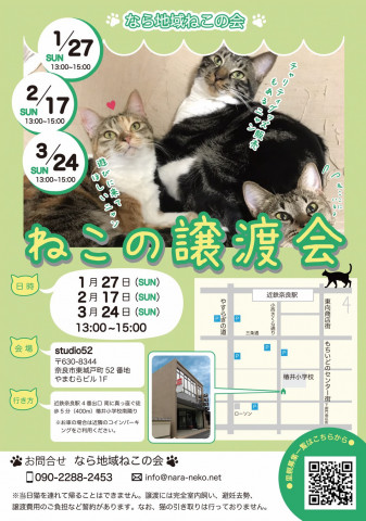 猫の譲渡会