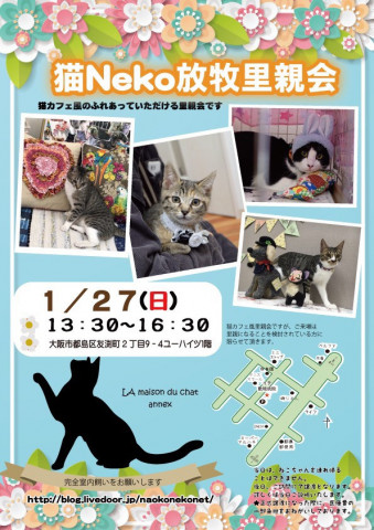 『猫Neko放牧里親会』