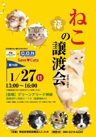 Save♥Cats 第16回「猫の譲渡会」尼崎