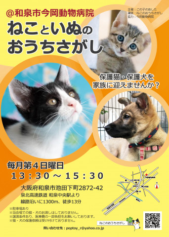 大阪・和泉市、ねこといぬのおうちさがし