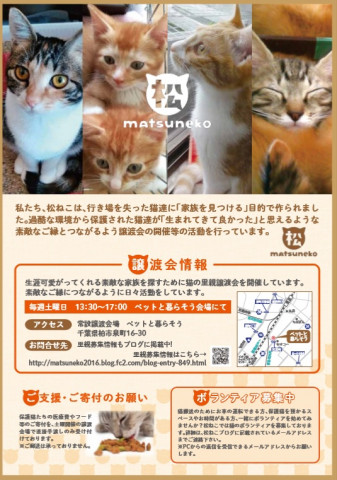 松ねこ　猫の譲渡会