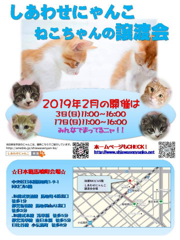 ♪しあわせにゃんこ♪猫ちゃんの譲渡会ＩＮ日本橋馬喰町