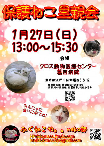 ふくねこや。。neko部 第44回 保護ねこ里親会