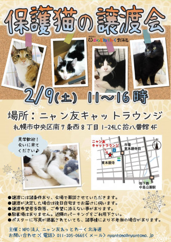 保護猫の譲渡会