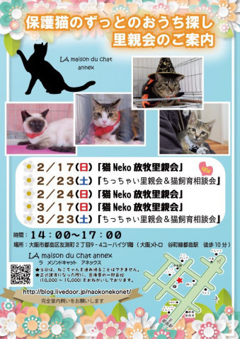 保護猫のずっとのおうち探し里親会。