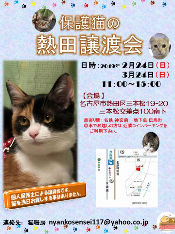 保護猫の熱田譲渡会