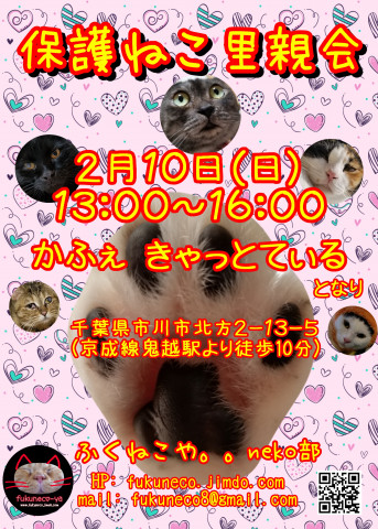 ふくねこや。。neko部 第45回 保護ねこ里親会