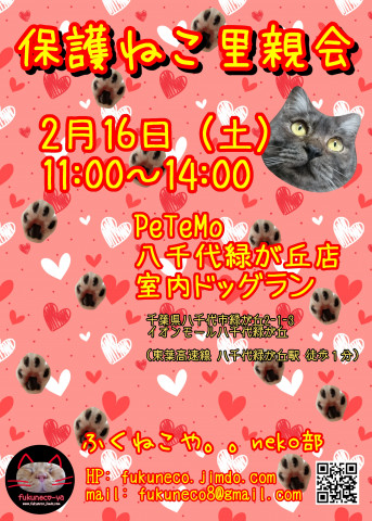 ふくねこや。。neko部 第46回 保護ねこ里親会