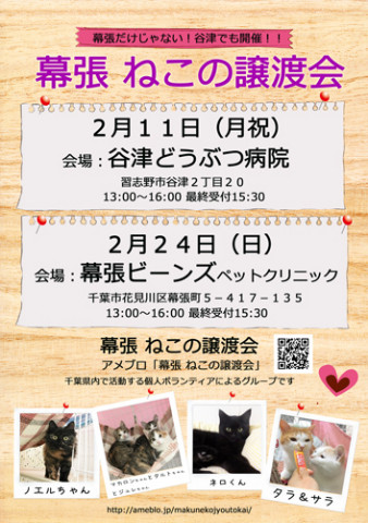 幕張 ねこの譲渡会