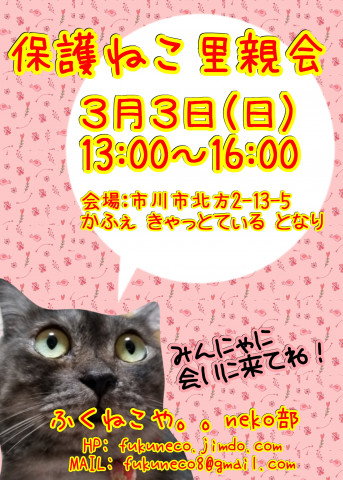 ふくねこや。。neko部 第47回 保護ねこ里親会