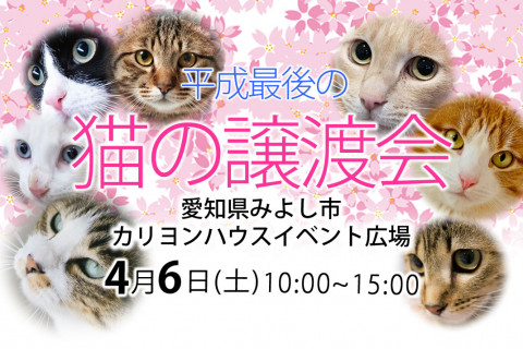 愛知県みよし市「平成最後の猫の譲渡会」