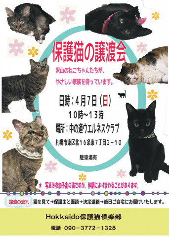 保護猫の譲渡会