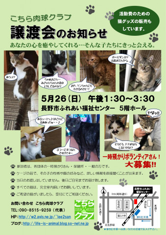 こちら肉球クラブ主催　猫の譲渡会