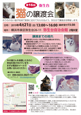 弥生台　猫の譲渡会