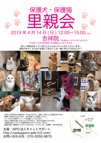 吉祥院犬猫里親会