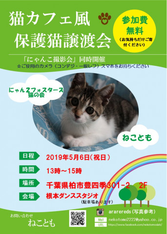 第7回　猫カフェ風保護猫譲渡会