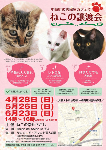 古民家カフェで『ねこの幸せさがし』譲渡会