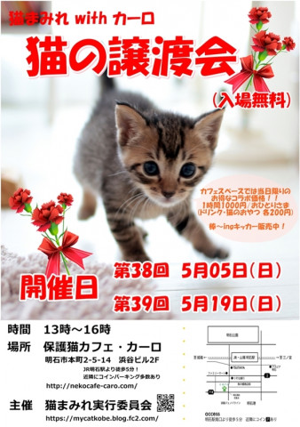 保護猫カフェで 猫の譲渡会