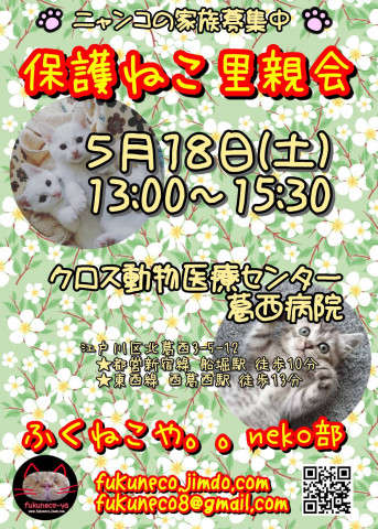 ふくねこや保護ねこ里親会