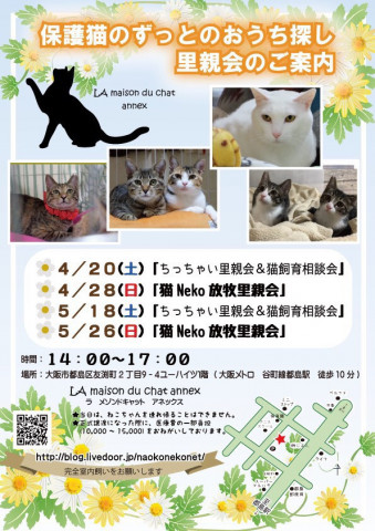 『保護猫のずっとのおうち探し里親会』