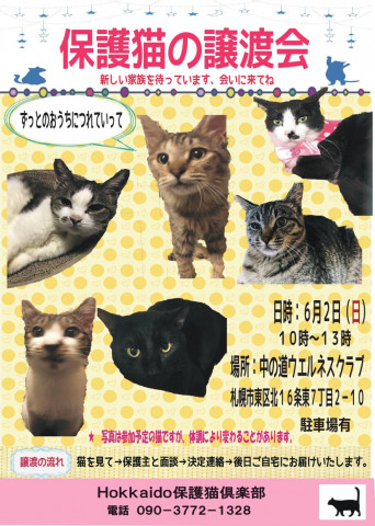 保護猫の譲渡会