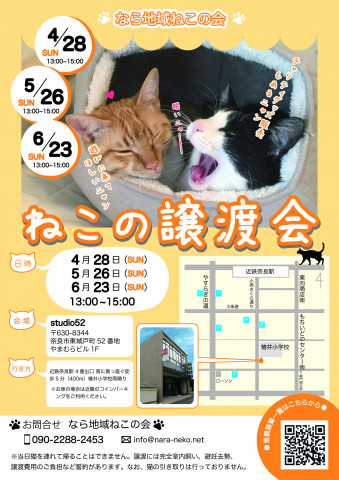 猫の譲渡会