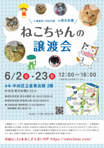 『猫ちゃんの譲渡会』『ハンディキャット譲渡会』