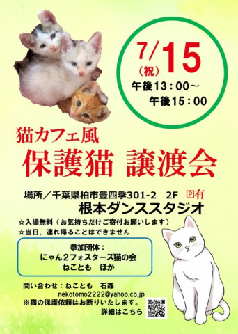 7/15(祝）夏だ！猫カフェ風保護猫譲渡会