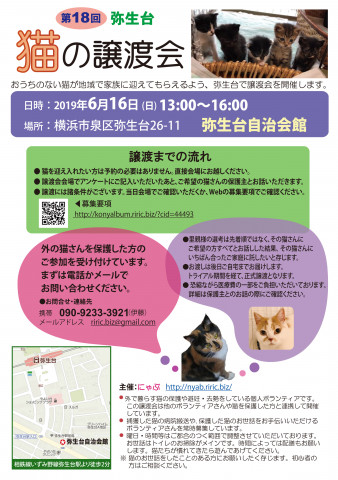 弥生台　猫の譲渡会