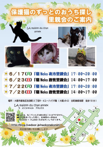 『保護猫のずっとのおうち探し里親会』