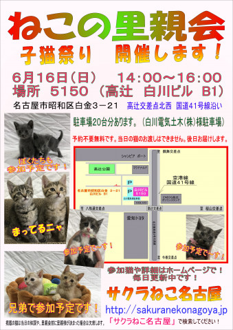 子猫祭り！ （猫の譲渡会） - 猫の譲渡会掲示板 - ネコジルシ